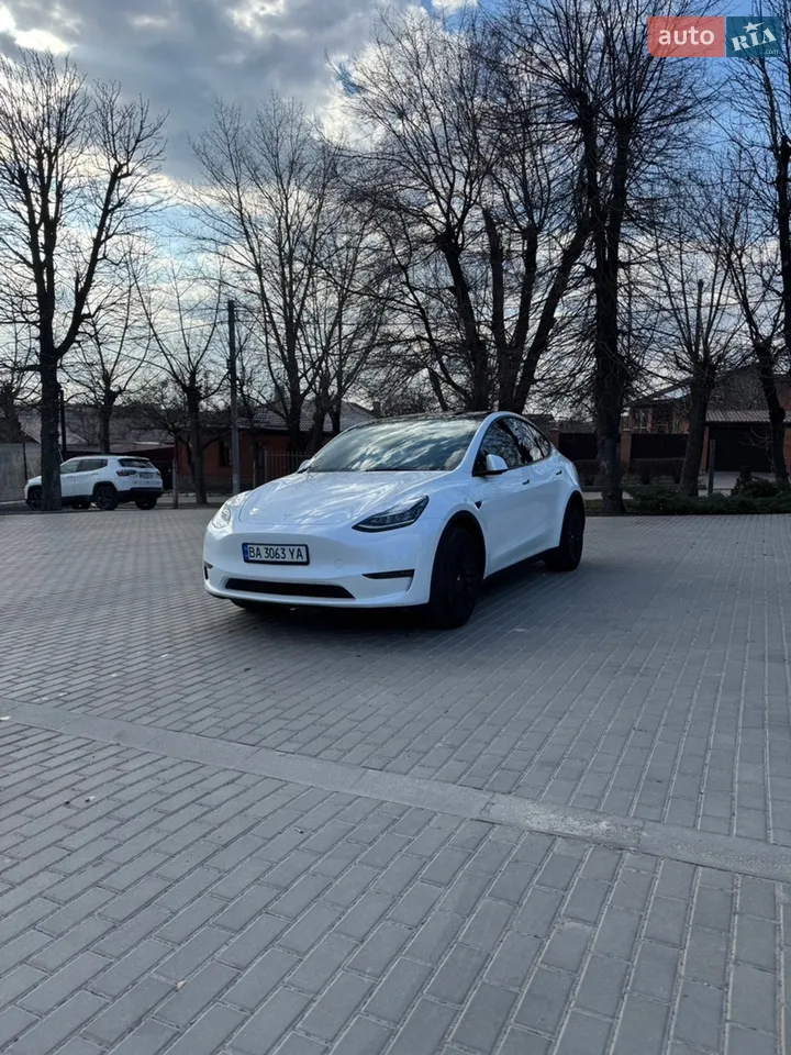 2021 Tesla Model Y - мініатюра 63