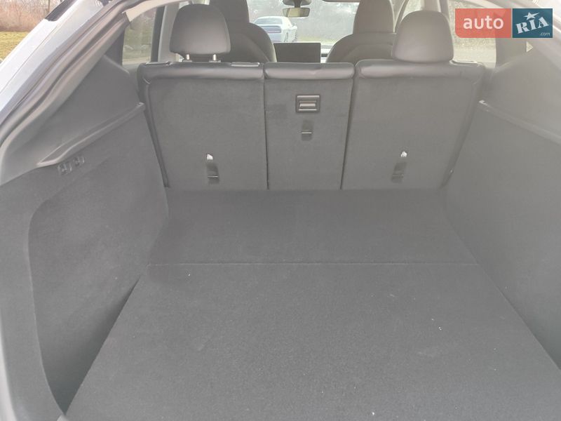 Внедорожник / Кроссовер Tesla Model Y 2024 в Белой Церкви фото 20 Внедорожник / Кроссовер Tesla Model Y 2024 в Белой Церкви