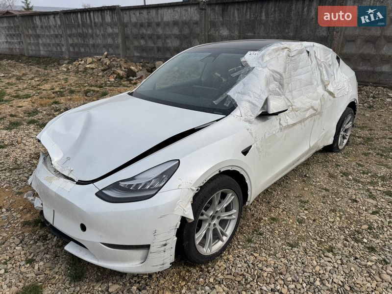 Позашляховик / Кросовер Tesla Model Y 2023 в Самборі фото 3 Позашляховик / Кросовер Tesla Model Y 2023 в Самборі