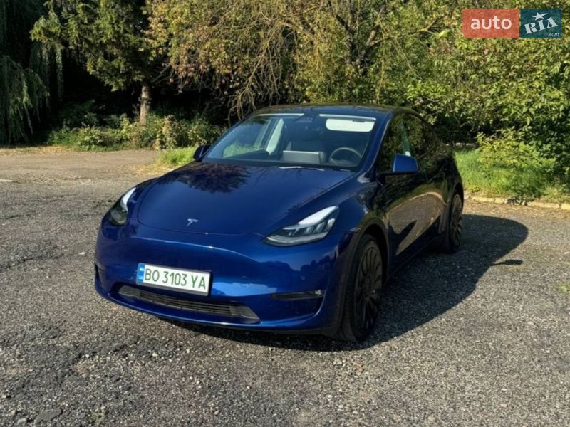 Позашляховик / Кросовер Tesla Model Y 2021 в Львові фото 4 Позашляховик / Кросовер Tesla Model Y 2021 в Львові