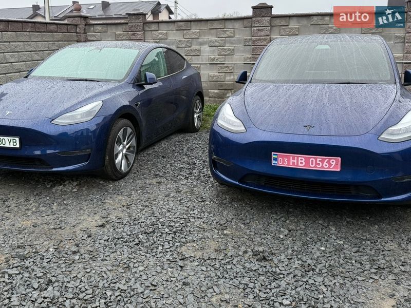 Внедорожник / Кроссовер Tesla Model Y 2021 в Ровно