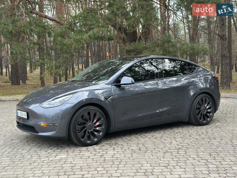 Позашляховик / Кросовер Tesla Model Y 2023 в Кременчуці фото 11 Позашляховик / Кросовер Tesla Model Y 2023 в Кременчуці