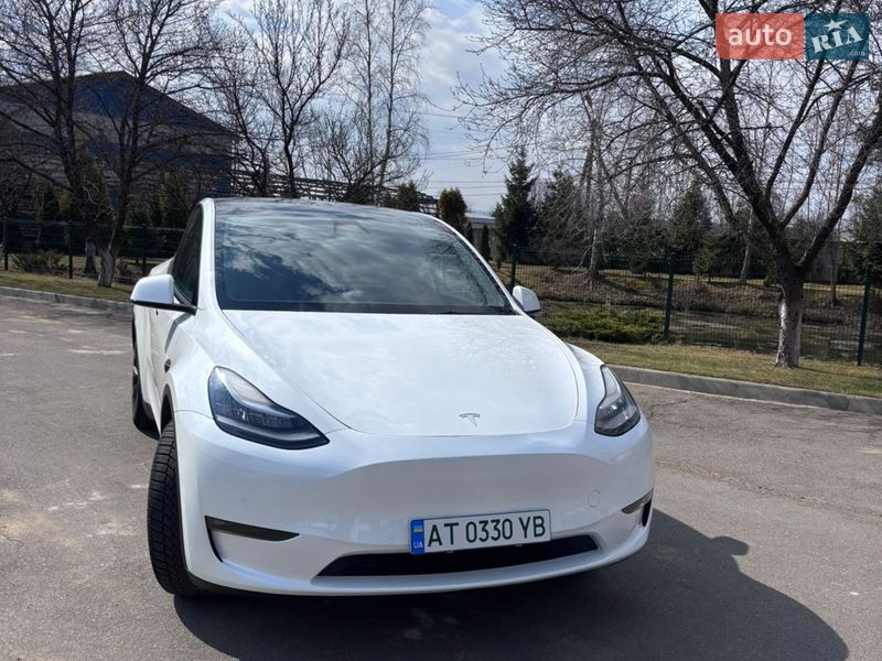 Позашляховик / Кросовер Tesla Model Y 2021 в Івано-Франківську