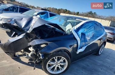 Внедорожник / Кроссовер Tesla Model Y 2024 в Запорожье