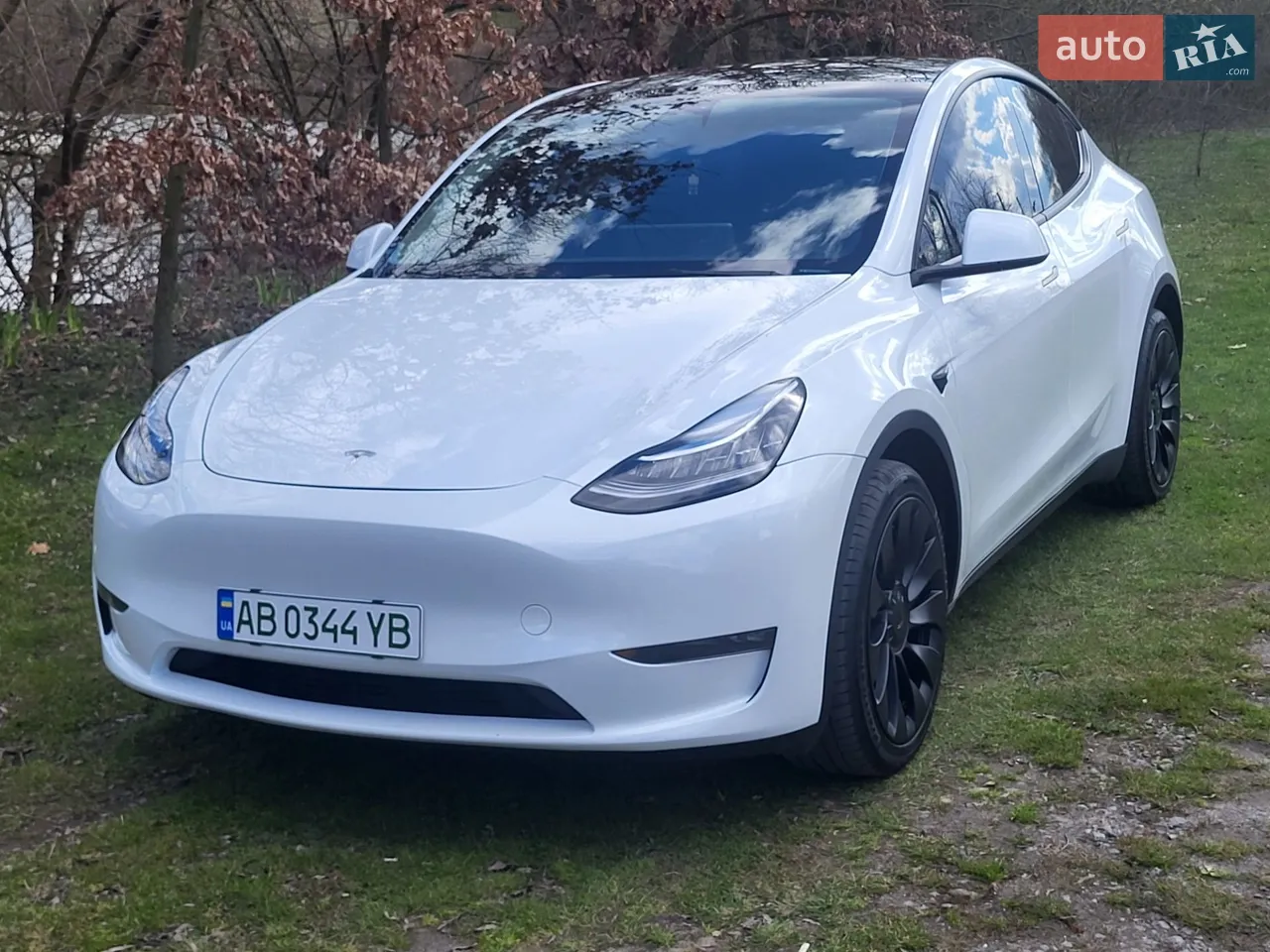 2021 Tesla Model Y - мініатюра 20