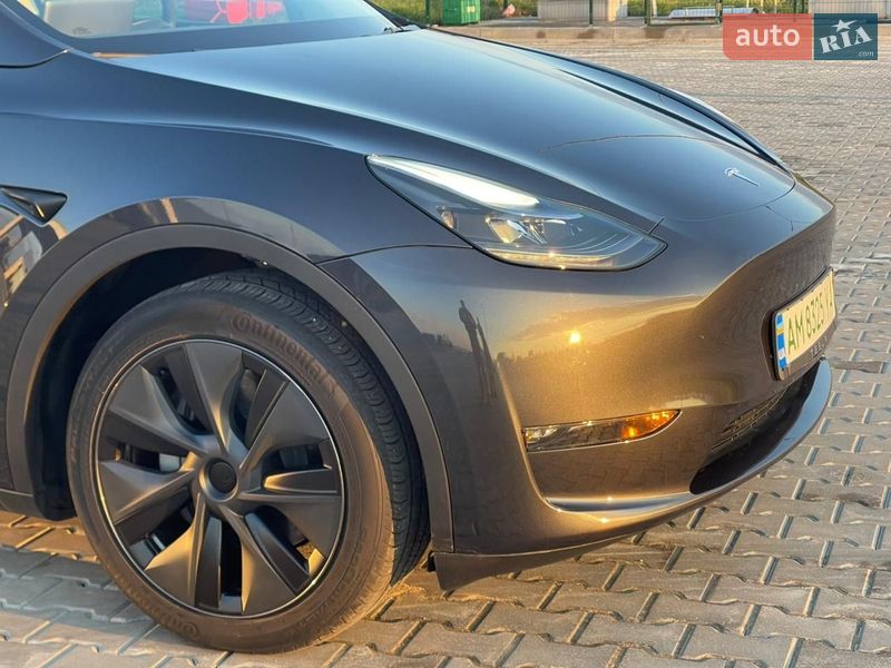 Позашляховик / Кросовер Tesla Model Y 2024 в Житомирі