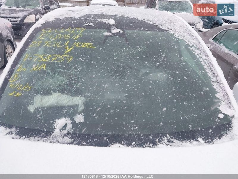 Позашляховик / Кросовер Tesla Model Y 2023 в Києві