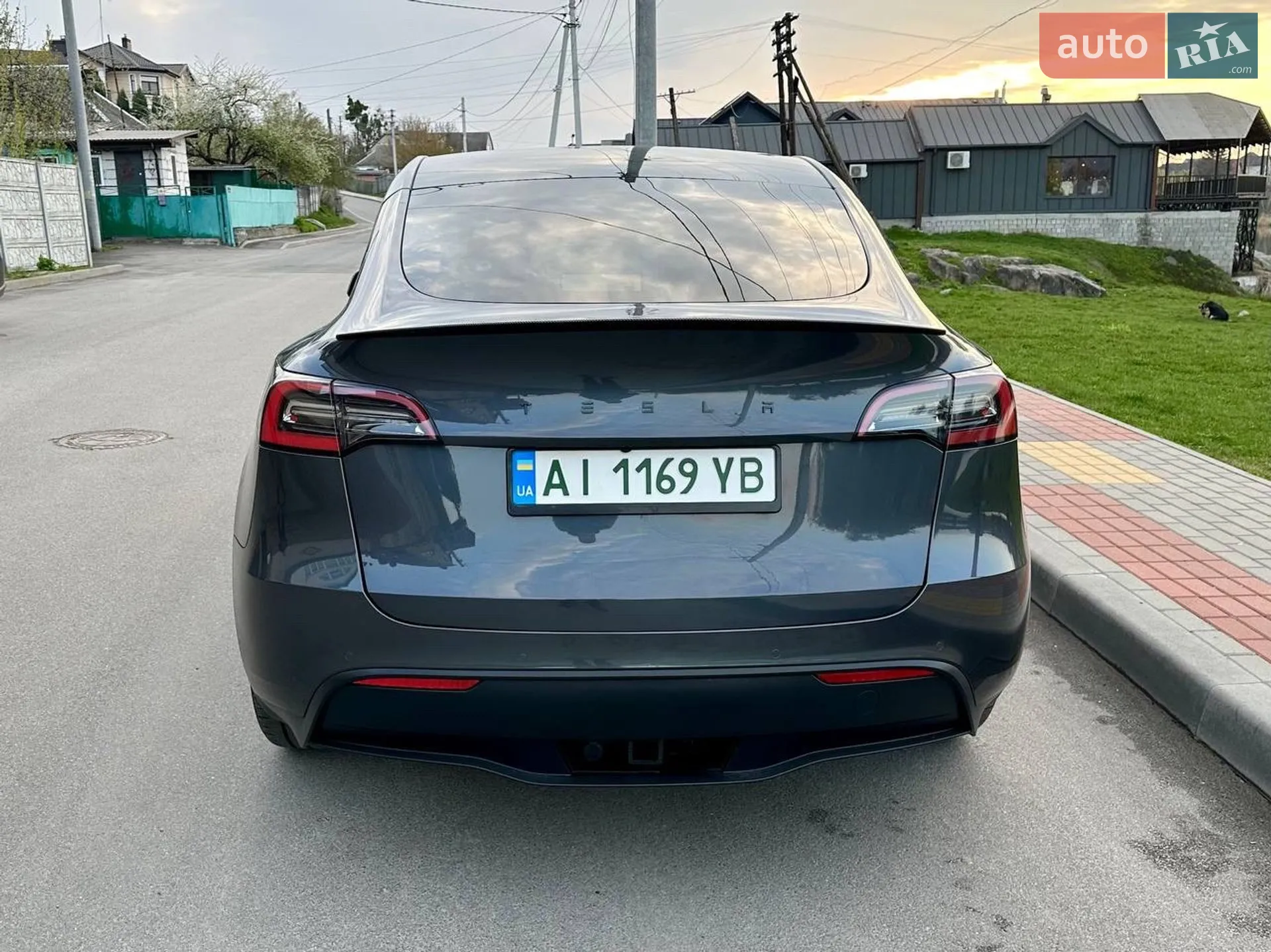 2021 Tesla Model Y - мініатюра 9