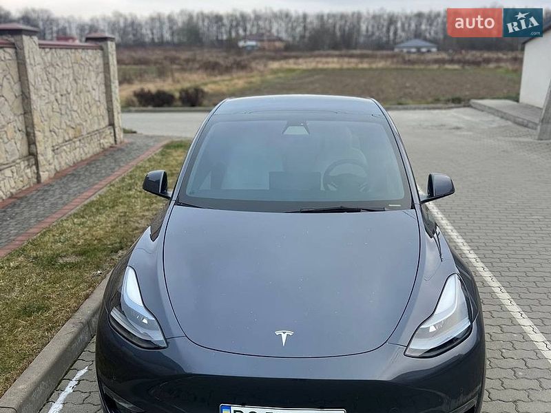 Внедорожник / Кроссовер Tesla Model Y 2021 в Львове