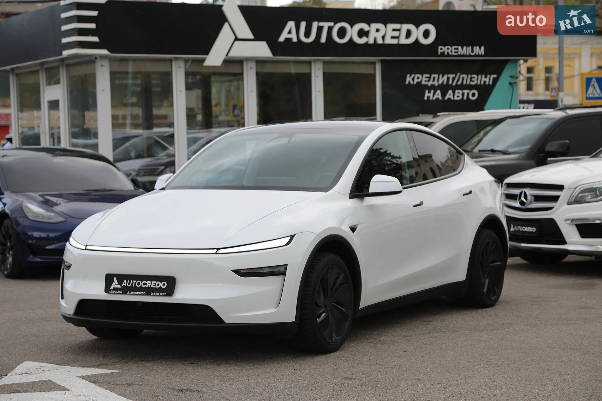 2025 Tesla Model Y - фото 1