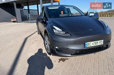 Внедорожник / Кроссовер Tesla Model Y 2021 в Золочеве