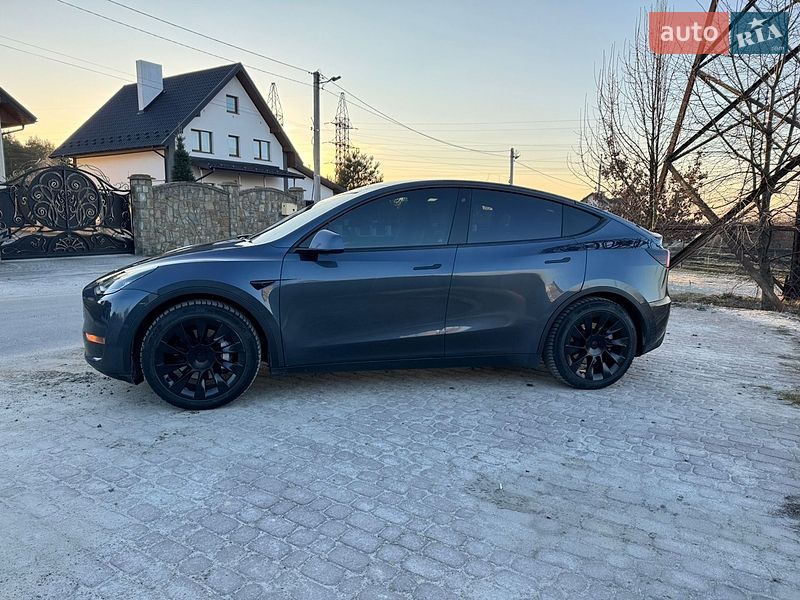 Внедорожник / Кроссовер Tesla Model Y 2020 в Новояворовске