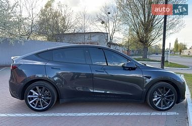 Позашляховик / Кросовер Tesla Model Y 2024 в Києві