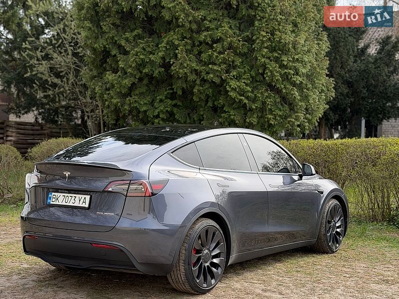 Внедорожник / Кроссовер Tesla Model Y 2023 в Березному