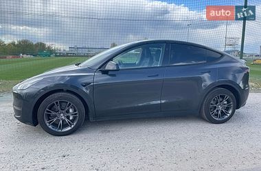 Позашляховик / Кросовер Tesla Model Y 2024 в Києві
