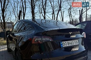 Внедорожник / Кроссовер Tesla Model Y 2023 в Хоросткове фото 2 Внедорожник / Кроссовер Tesla Model Y 2023 в Хоросткове