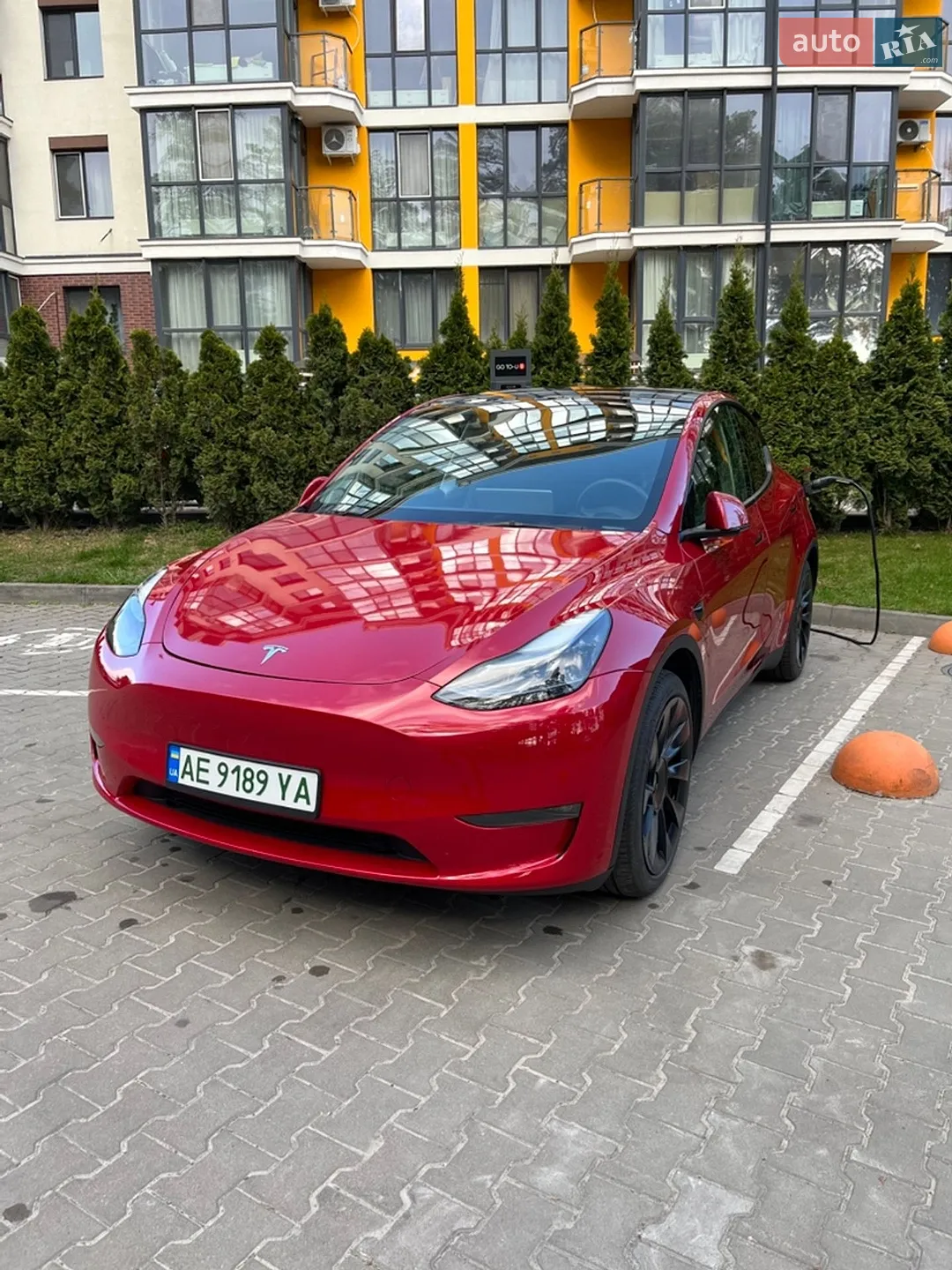 2023 Tesla Model Y - фото 1