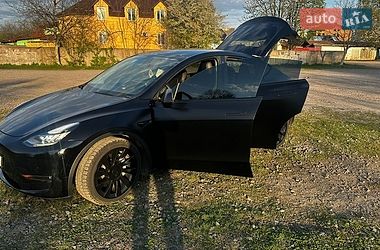Внедорожник / Кроссовер Tesla Model Y 2021 в Бродах