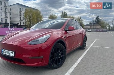 Внедорожник / Кроссовер Tesla Model Y 2023 в Тернополе
