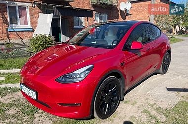 Внедорожник / Кроссовер Tesla Model Y 2021 в Кобеляках