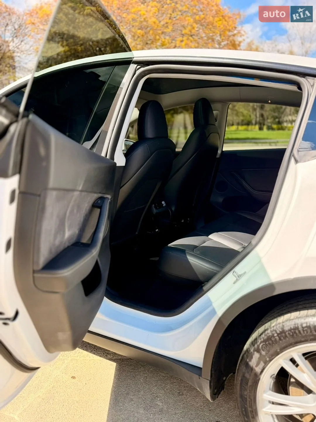 2024 Tesla Model Y - мініатюра 46