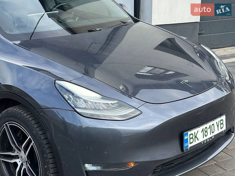 Внедорожник / Кроссовер Tesla Model Y 2020 в Дубно