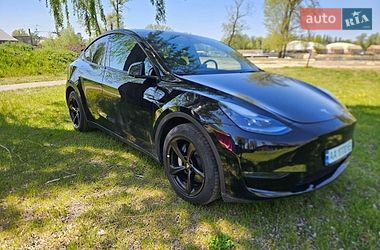 Позашляховик / Кросовер Tesla Model Y 2024 в Києві