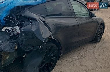 Внедорожник / Кроссовер Tesla Model Y 2023 в Запорожье
