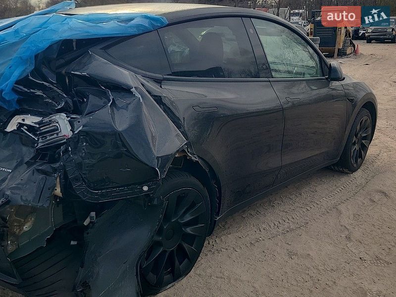 Внедорожник / Кроссовер Tesla Model Y 2023 в Запорожье