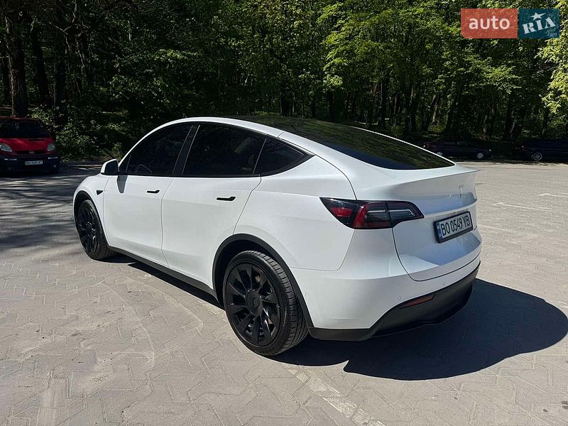 2022 Tesla Model Y, VIN 7SAYGDEE8NA021164:plate — фото 1 (autoria)