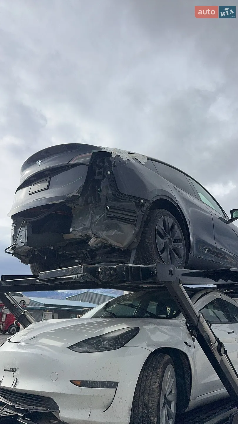 2024 Tesla Model Y - мініатюра 13