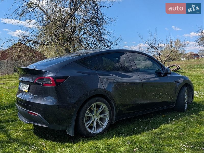 Внедорожник / Кроссовер Tesla Model Y 2024 в Львове