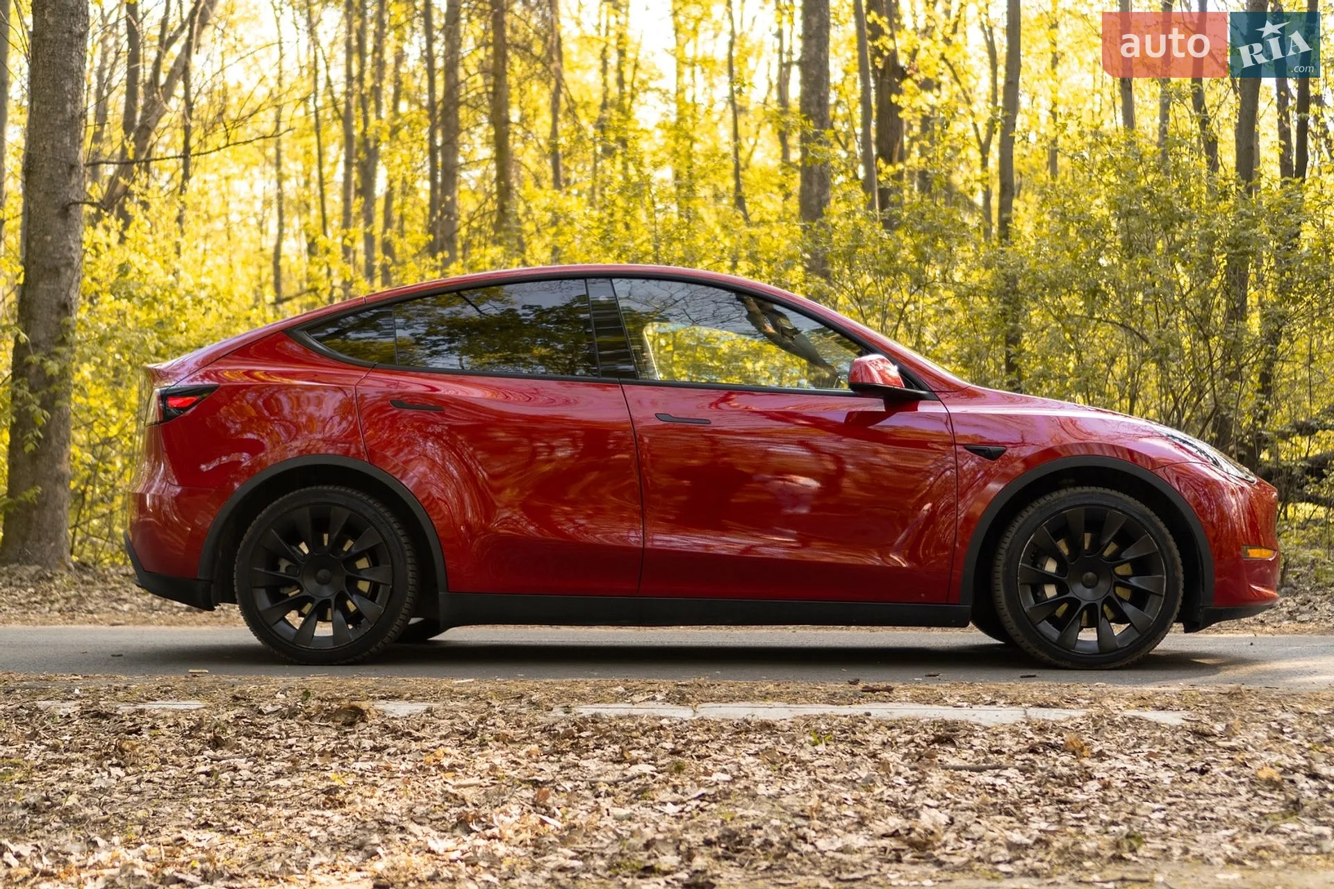 2021 Tesla Model Y - мініатюра 5