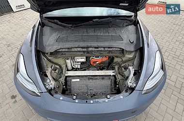 Внедорожник / Кроссовер Tesla Model Y 2022 в Луцке