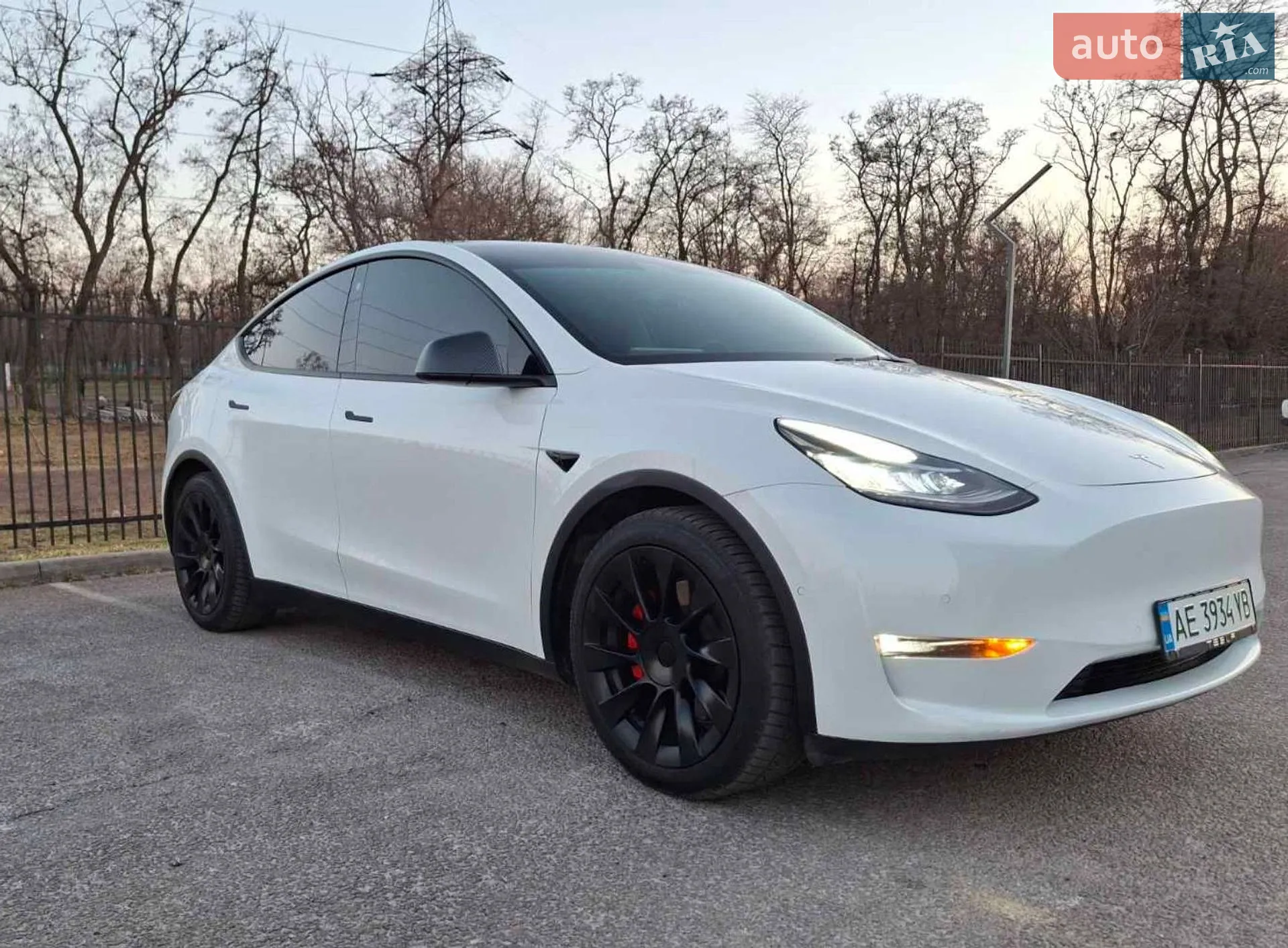 2021 Tesla Model Y - мініатюра 3