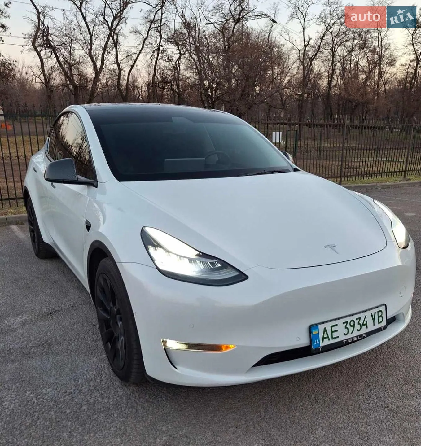 2021 Tesla Model Y - мініатюра 2