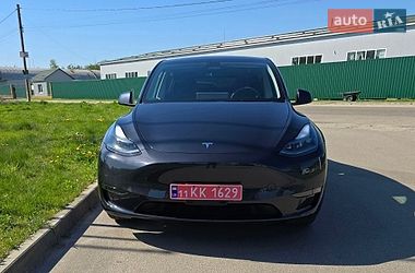 Внедорожник / Кроссовер Tesla Model Y 2024 в Броварах