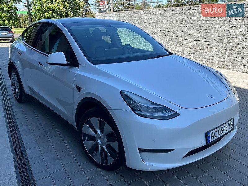 Позашляховик / Кросовер Tesla Model Y 2021 в Луцьку