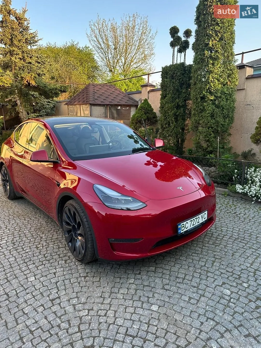 2023 Tesla Model Y - фото 1