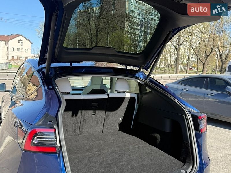 Позашляховик / Кросовер Tesla Model Y 2020 в Дніпрі