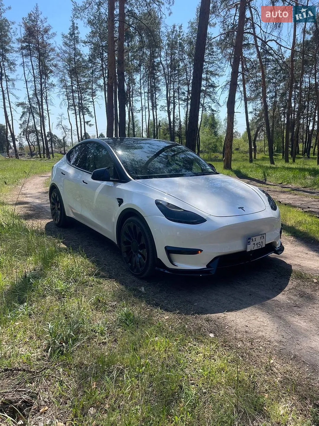 2022 Tesla Model Y - мініатюра 3
