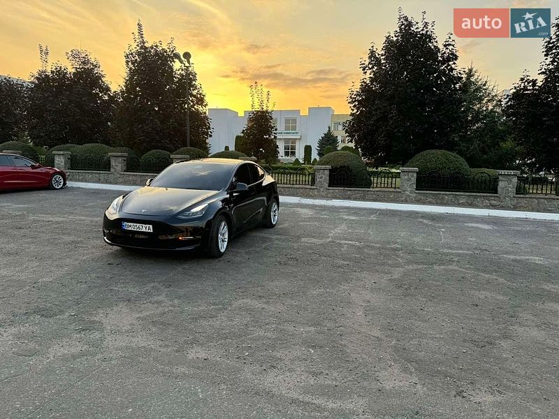 Позашляховик / Кросовер Tesla Model Y 2021 в Сумах
