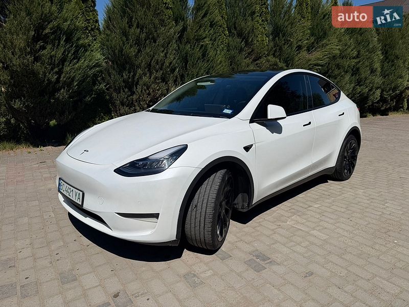 Позашляховик / Кросовер Tesla Model Y 2022 в Самборі