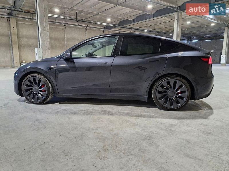 Внедорожник / Кроссовер Tesla Model Y 2024 в Киеве
