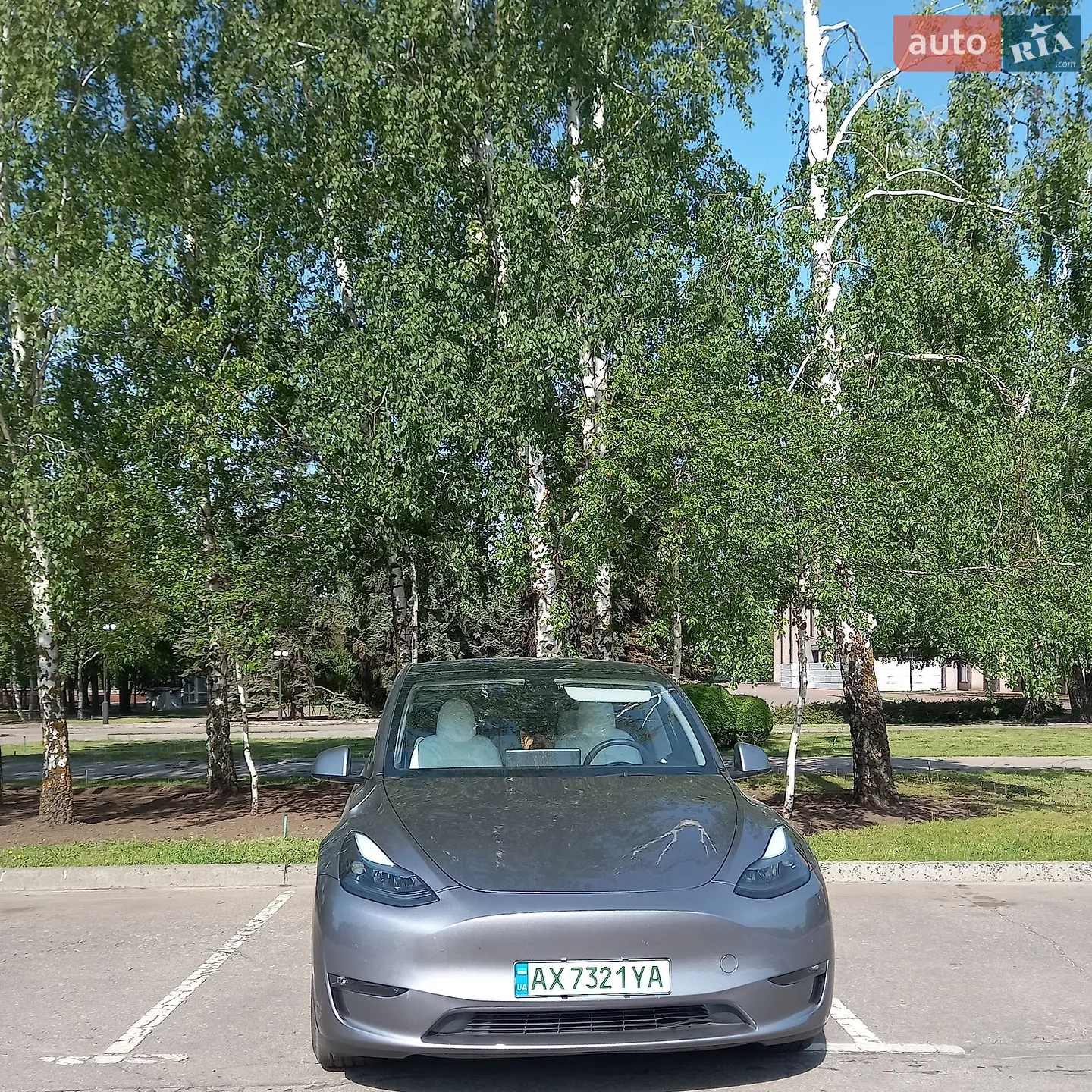 2024 Tesla Model Y - мініатюра 5