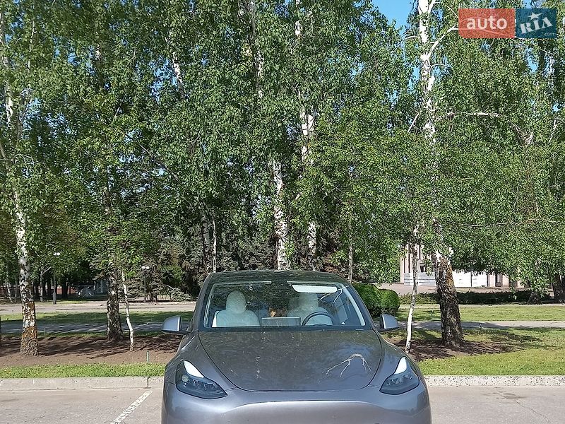 Позашляховик / Кросовер Tesla Model Y 2024 в Кривому Розі