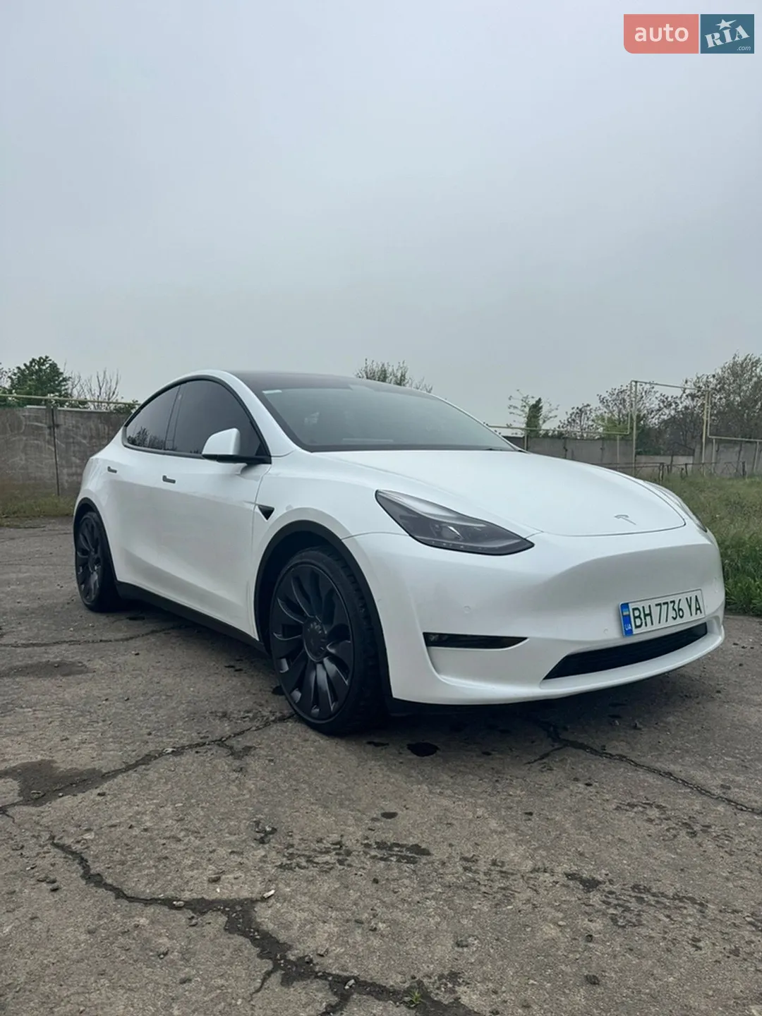 2022 Tesla Model Y - фото 1