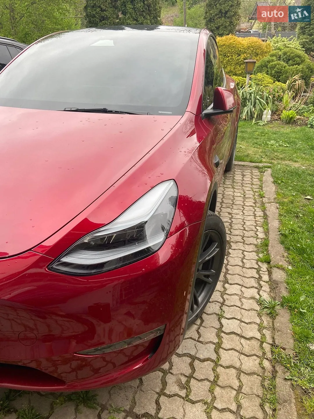 2024 Tesla Model Y - мініатюра 5
