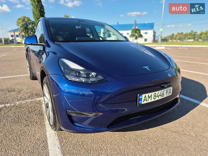 Позашляховик / Кросовер Tesla Model Y 2024 в Житомирі