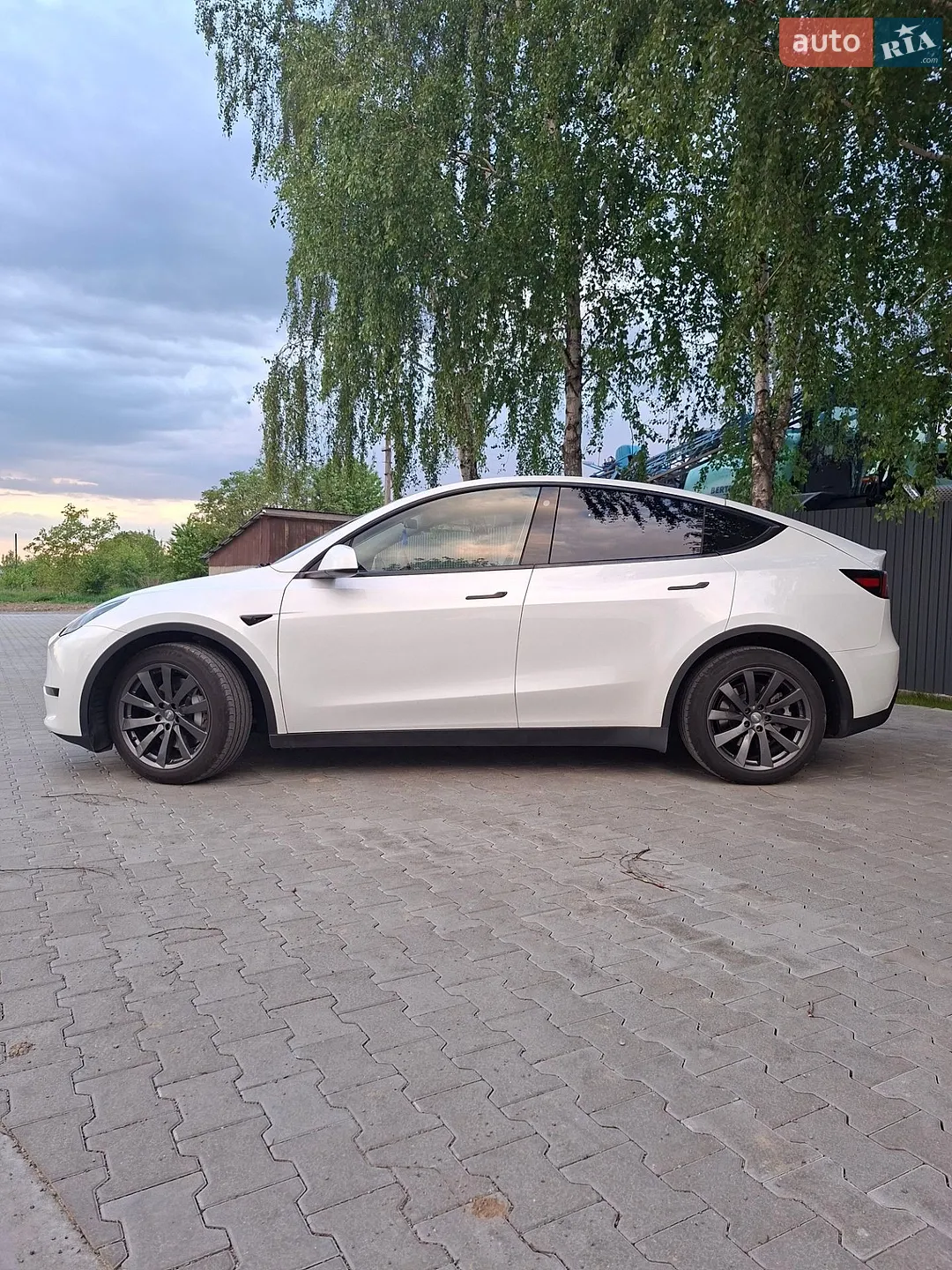 2023 Tesla Model Y - мініатюра 2